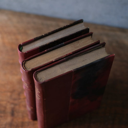 アンティークブック 革張りの古書 レザーブック パリ フランス 1890年66