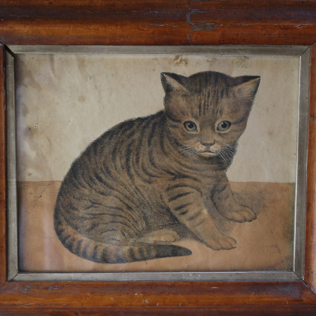1900年代初期フランスのアンティークプリント、木製フレーム入りの子猫画6