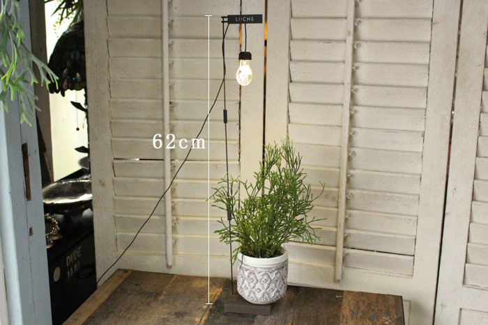 植物ランプ