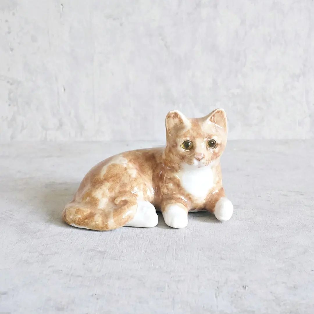 ケンジントンキャット