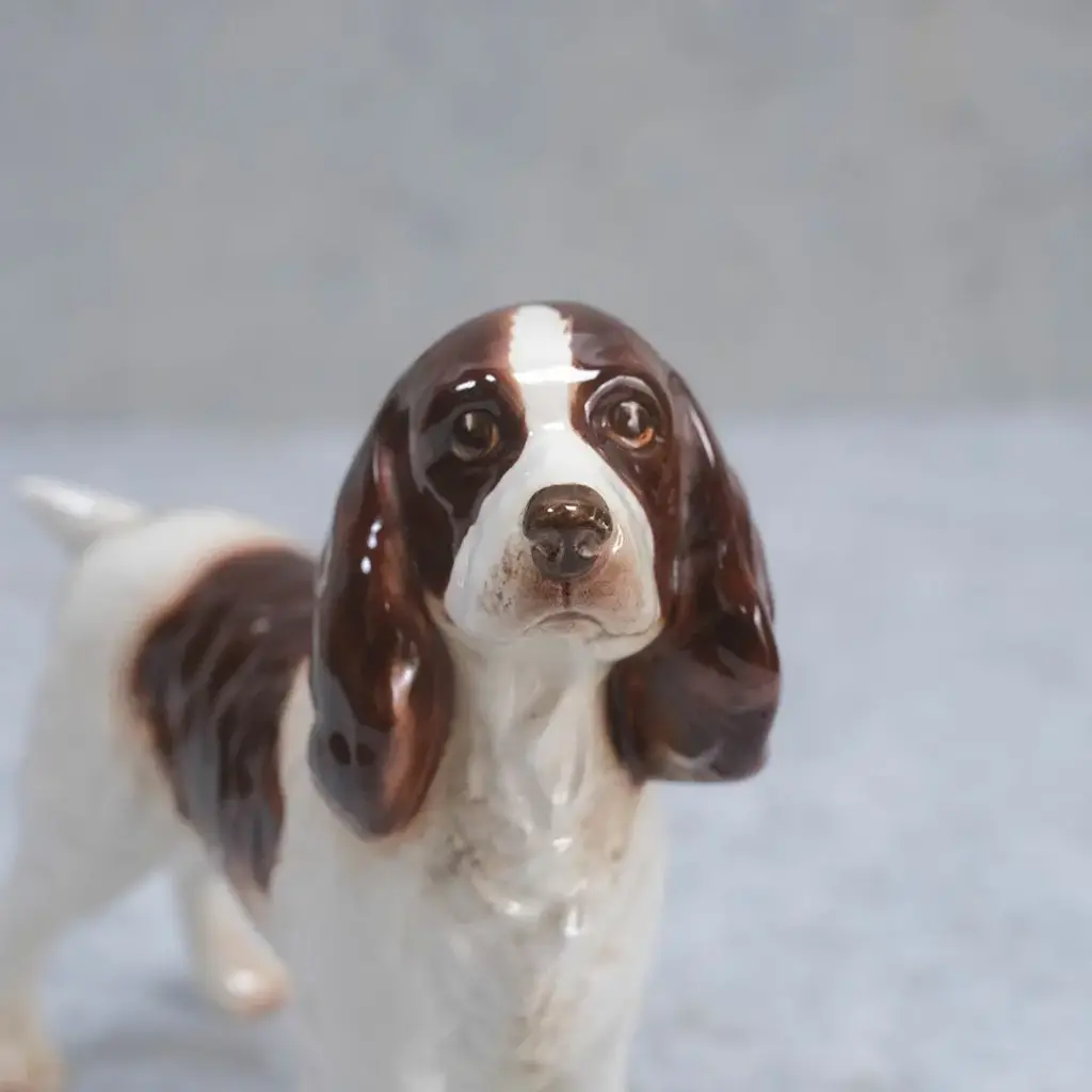 ヴィンテージオブジェ 犬の置物 陶器 イギリス
5