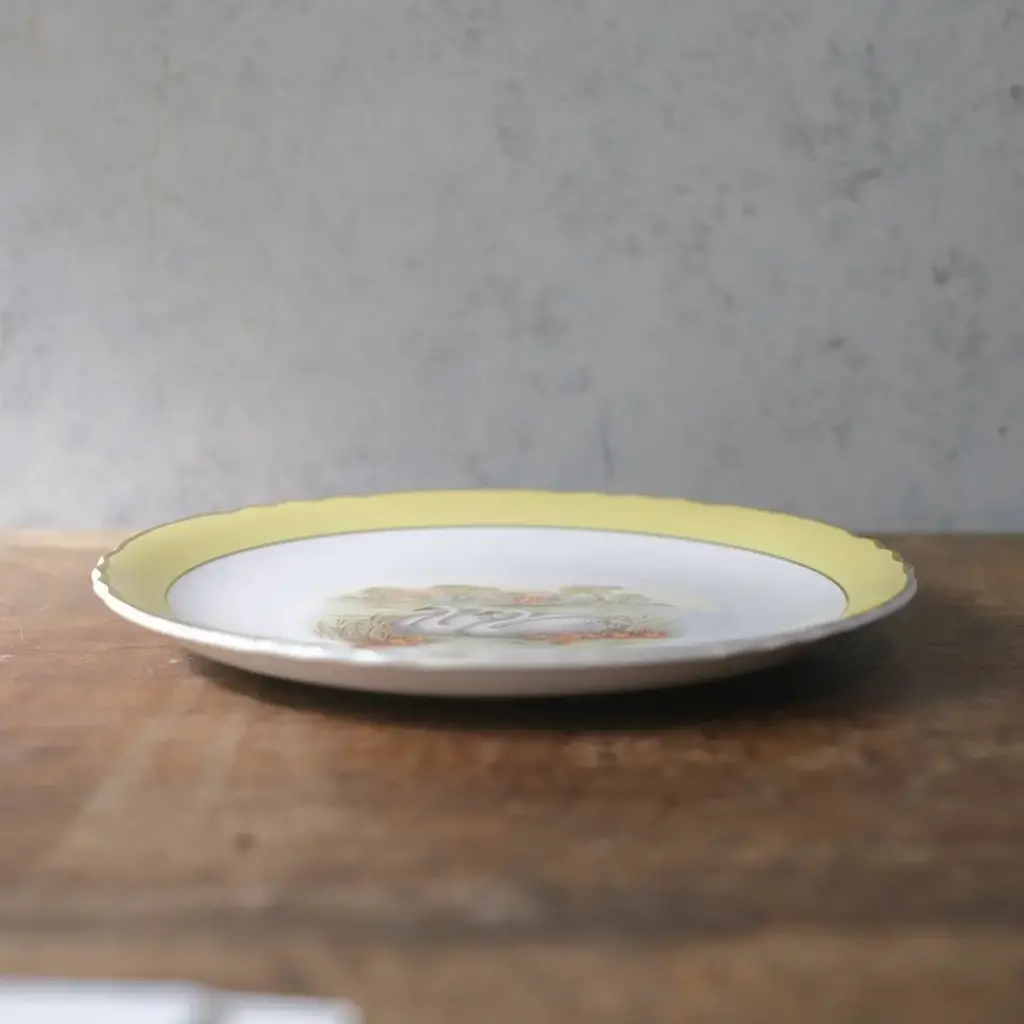 アンティーク皿 白鳥 フランス Moulin des Loups & Hamage ディナープレート アンティーク食器3