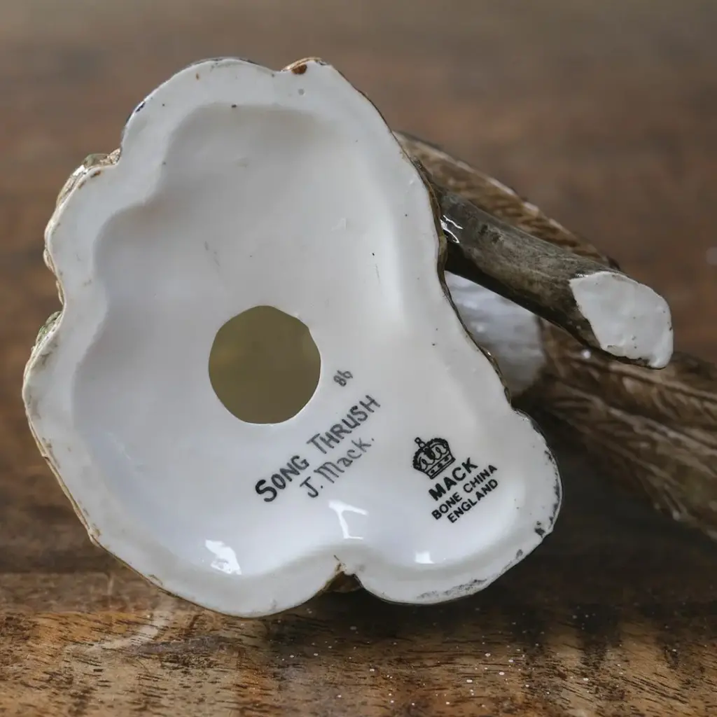 ヴィンテージフィギュリン 鳥 J Mack イギリス 陶器の置物 SONG THRUSH ウタツグミ6