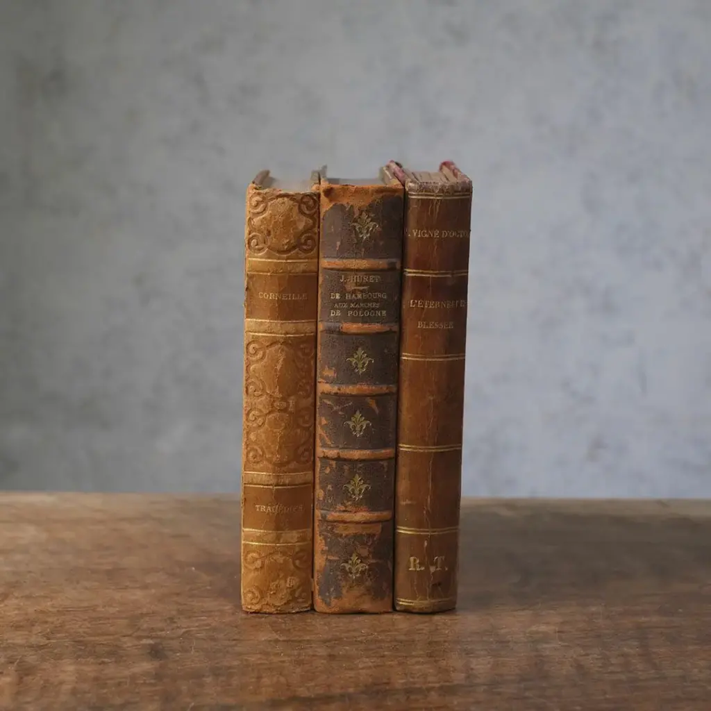 パリの子供の物語　古書　洋書　アンティークブック　フランス　布装　挿画多数 アンティークレザーブック 古書 フランス 革背表紙の本 | 雑貨と