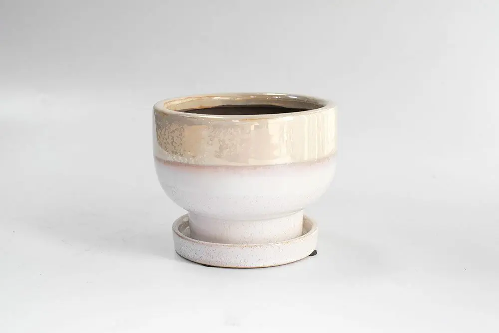 ルイーズ・パールカップ ガーデン雑貨1