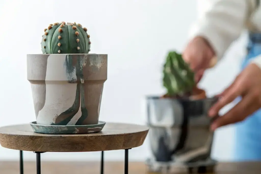 マーブルプランターポットL/オレンジオリーブ おしゃれなガーデン雑貨3