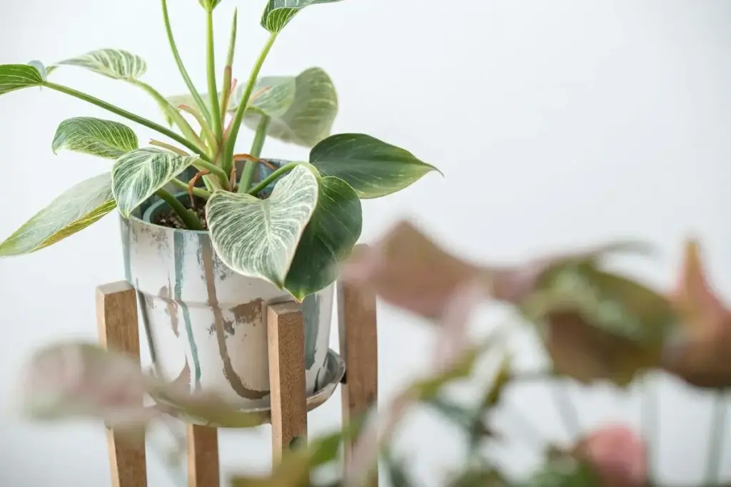 マーブルプランターポットL/オレンジオリーブ おしゃれなガーデン雑貨4