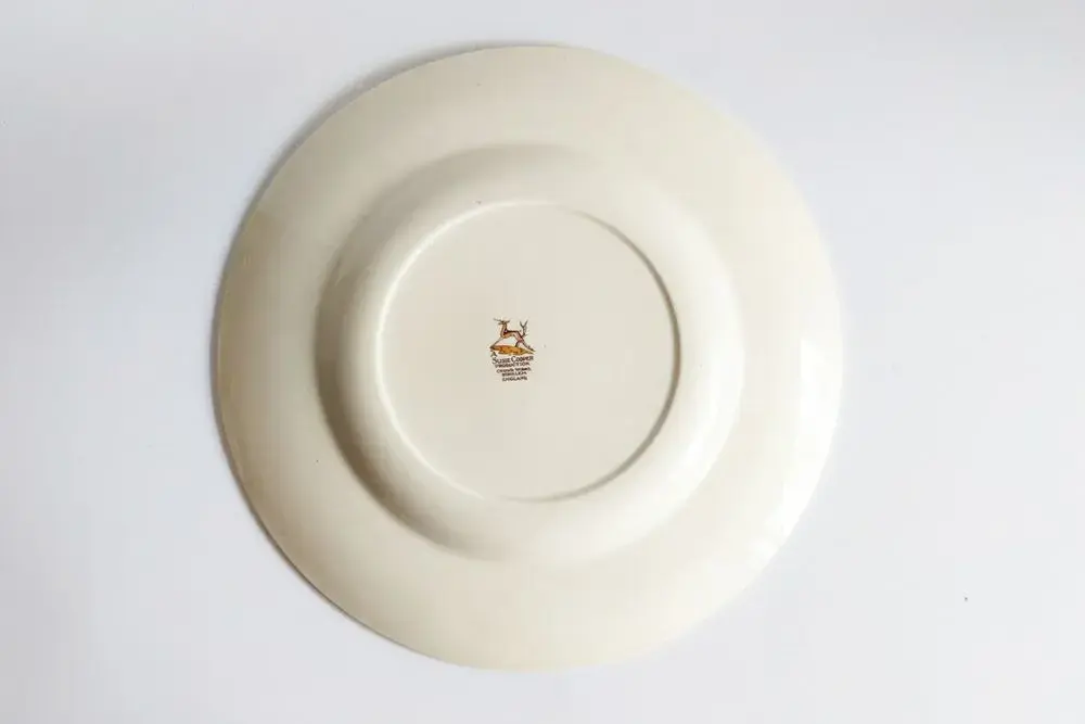 アンティーク プレート SUSIE COOPER ドレスデンスプレー スージークーパー イギリス お皿/アンティーク食器2