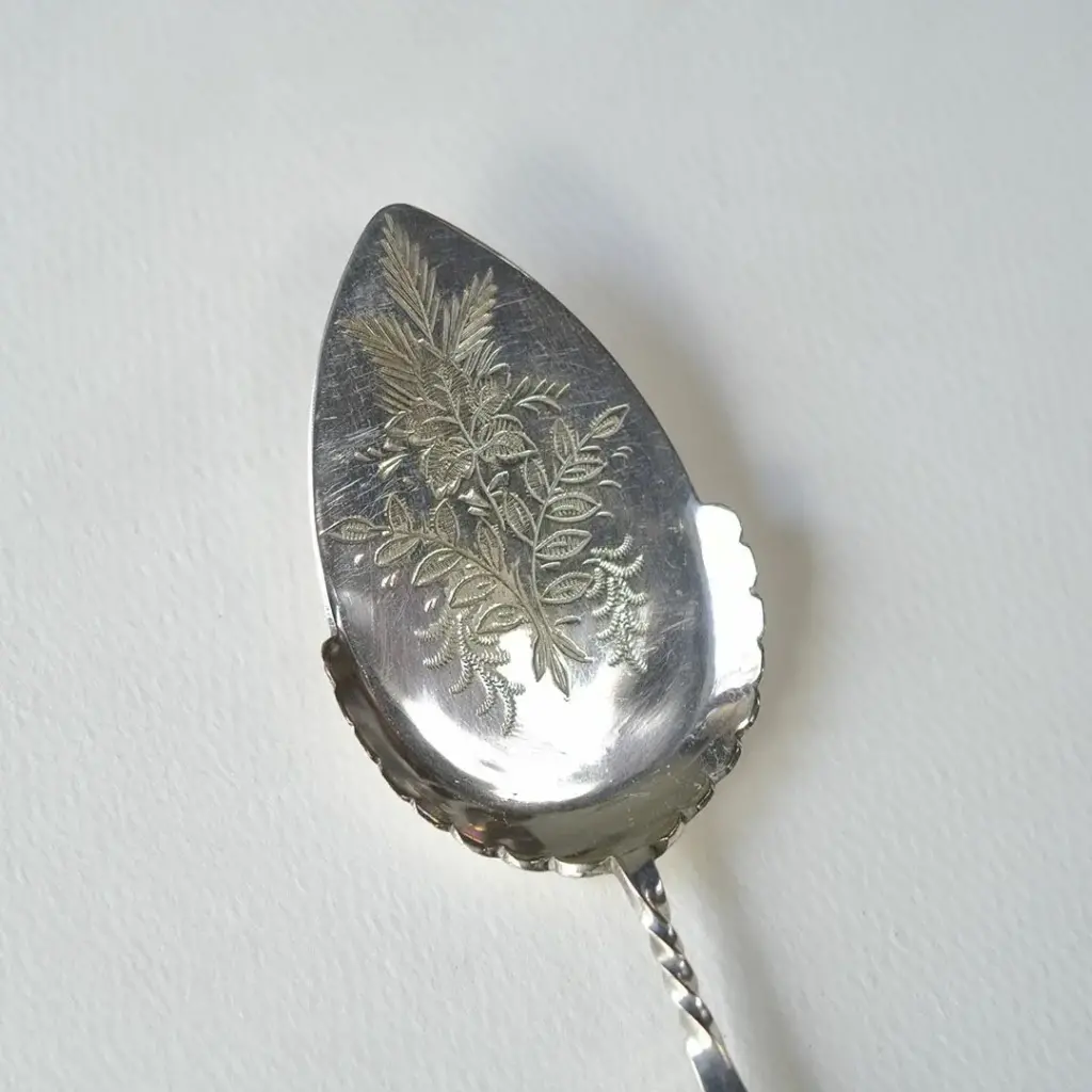 アンティーク マザーオブパール 装飾の美しいベリースプーン 白蝶貝3