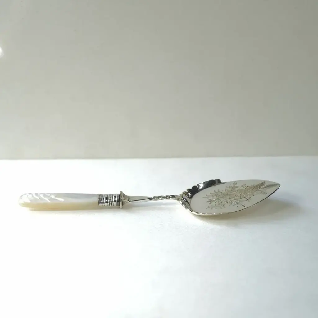 アンティーク マザーオブパール 装飾の美しいベリースプーン 白蝶貝5