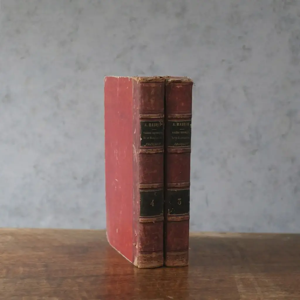 アンティークレザーブック Galerie Historique de la Révolution Française（フランス革命史） アンティーク雑貨2