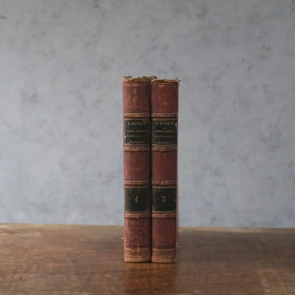 アンティークレザーブック Galerie Historique de la Révolution Française（フランス革命史） アンティーク雑貨3