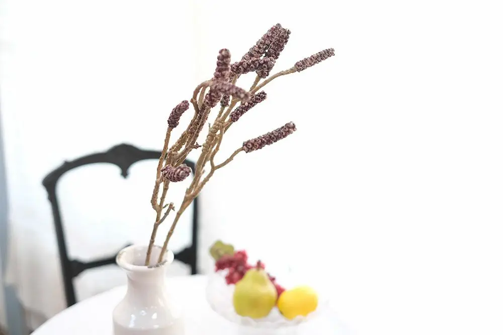 ブラシの木ブランチ インテリア雑貨