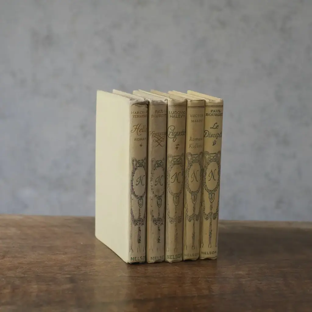 アンティークブック フランス 本 ネルソン nelson アソート アンティーク雑貨3