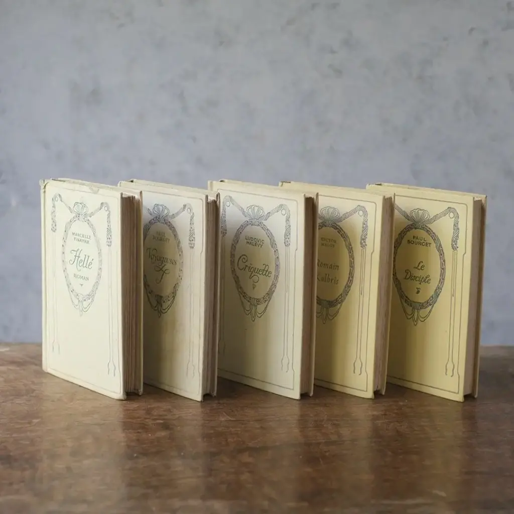 アンティークブック フランス 本 ネルソン nelson アソート アンティーク雑貨1