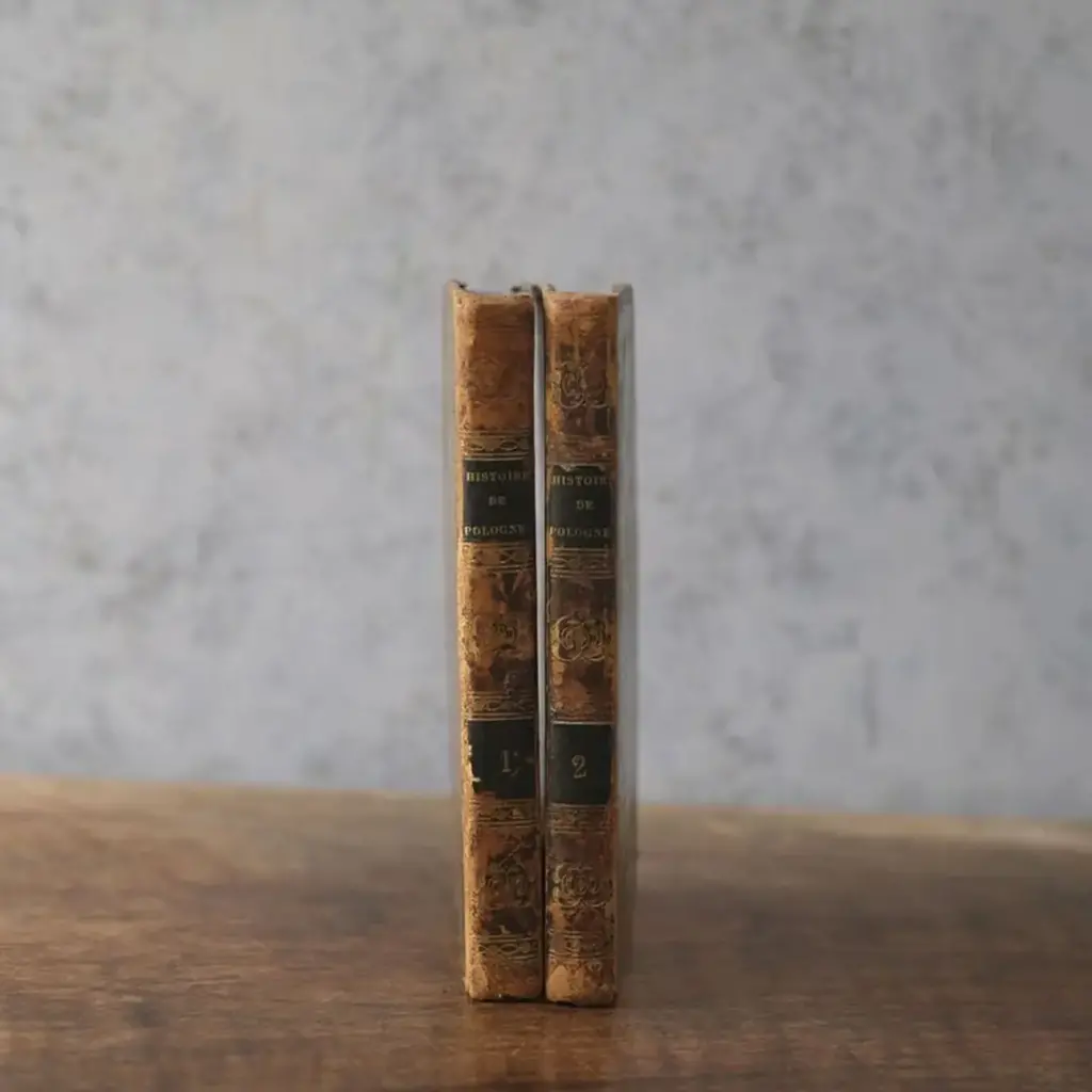 アンティークレザーブック 古書 フランス 革背表紙の本　1833年4