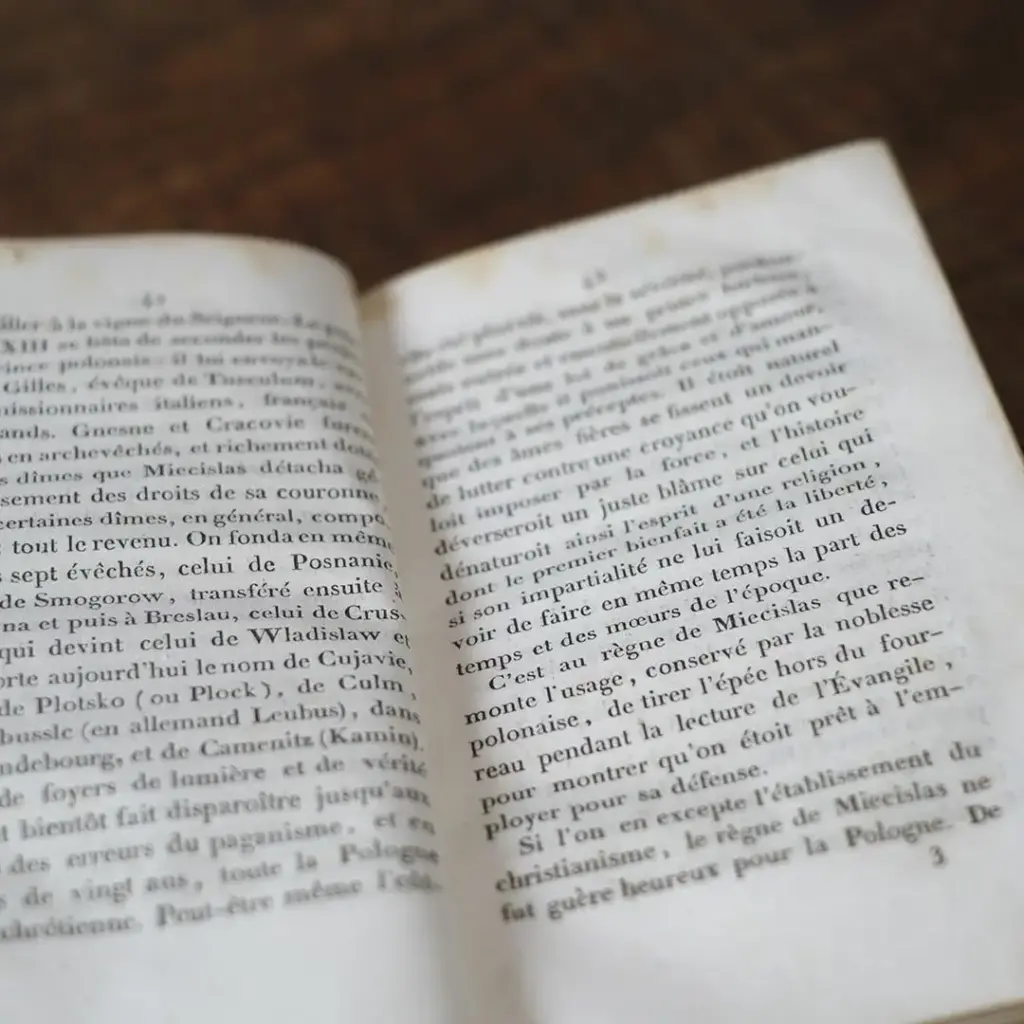 アンティークレザーブック 古書 フランス 革背表紙の本　1833年1