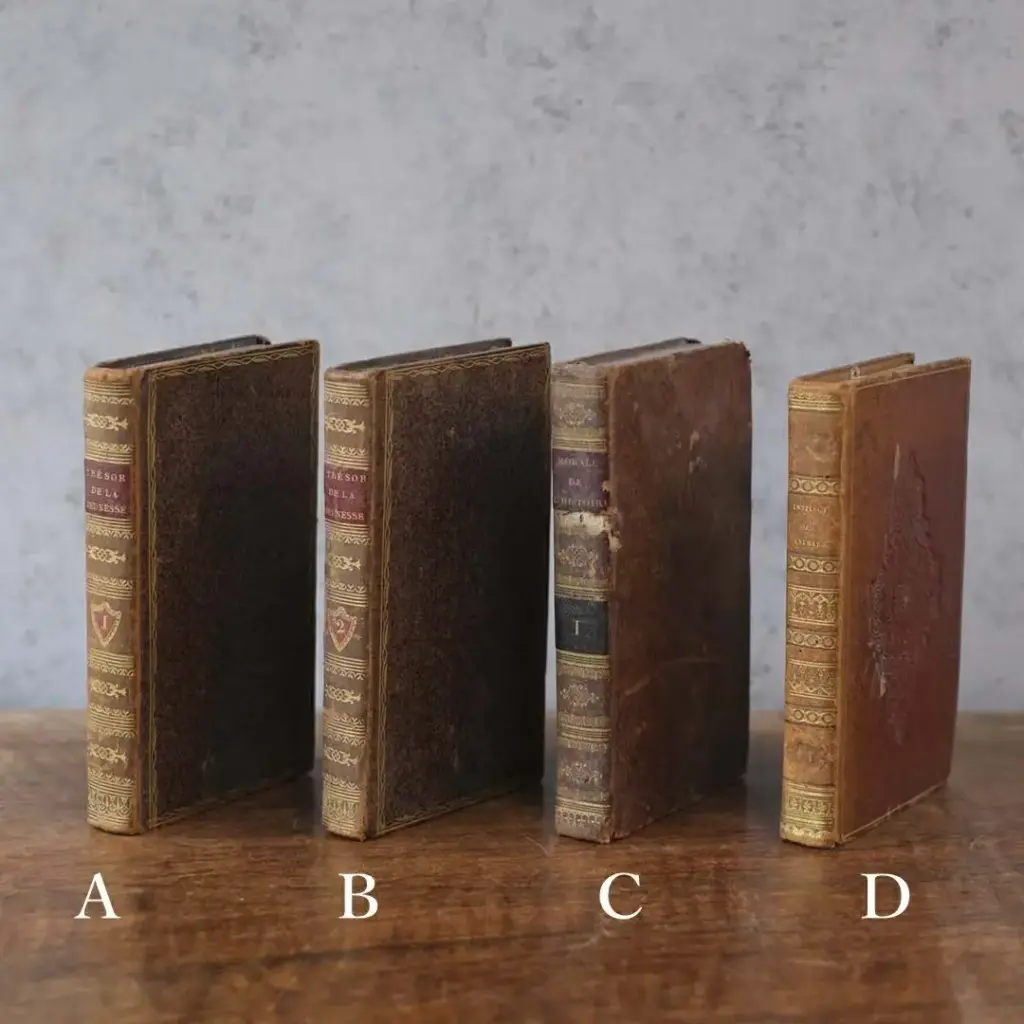 アンティークレザーブック 古書 本 19世紀 フランス アンティーク雑貨1