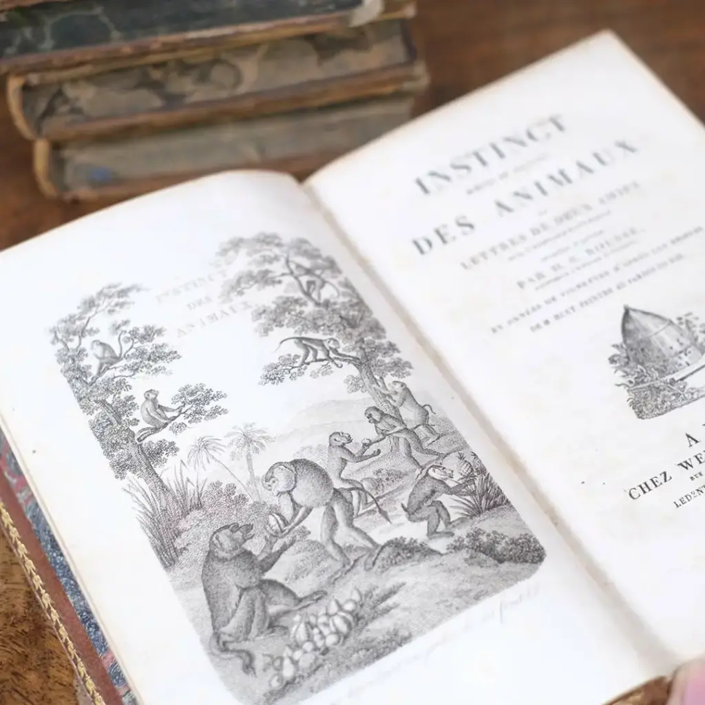 アンティークレザーブック 古書 本 19世紀 フランス アンティーク雑貨4