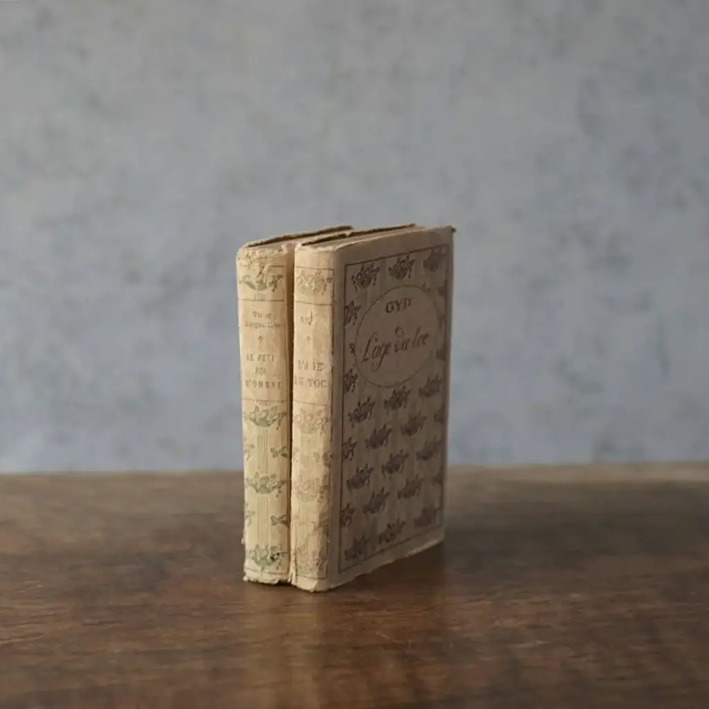 アンティークブック EDITIONS NILSSON フランス 本 小説 アンティーク雑貨