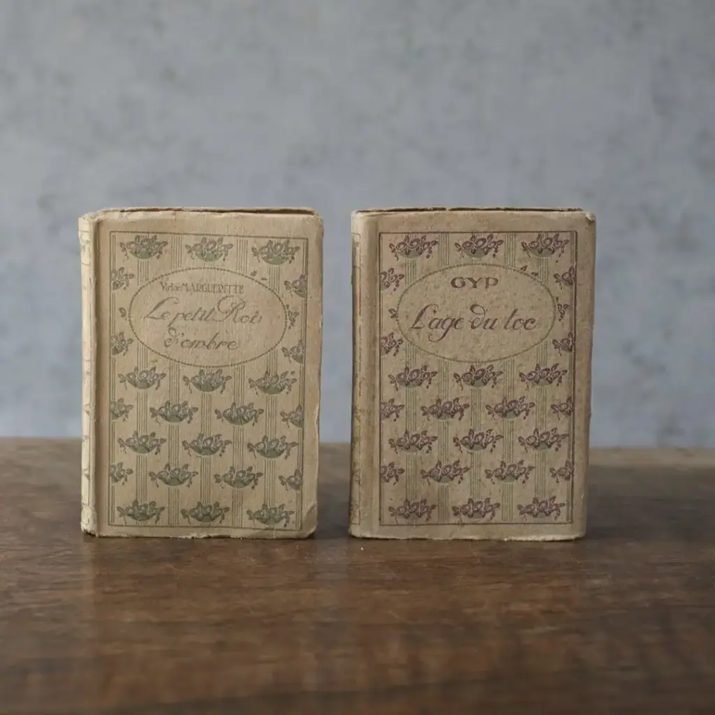 アンティークブック EDITIONS NILSSON フランス 本 小説 アンティーク雑貨1