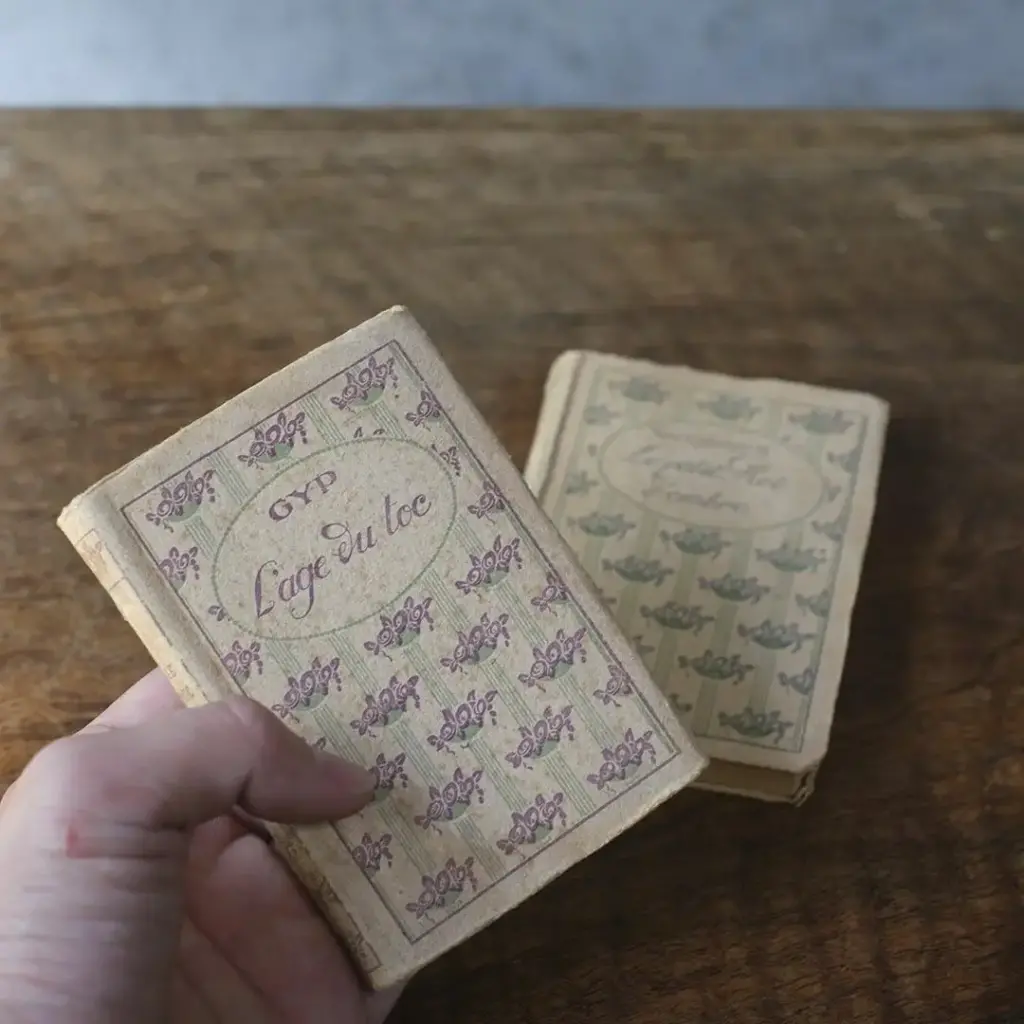 アンティークブック EDITIONS NILSSON フランス 本 小説 アンティーク雑貨2