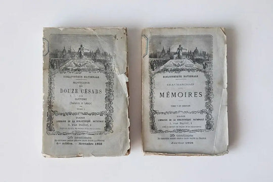 アンティークブック フランス 19世紀 2冊セットフランスで出版された、1866年～1869年の古書。おしゃれな雰囲気でディスプレイ小物におすすめ