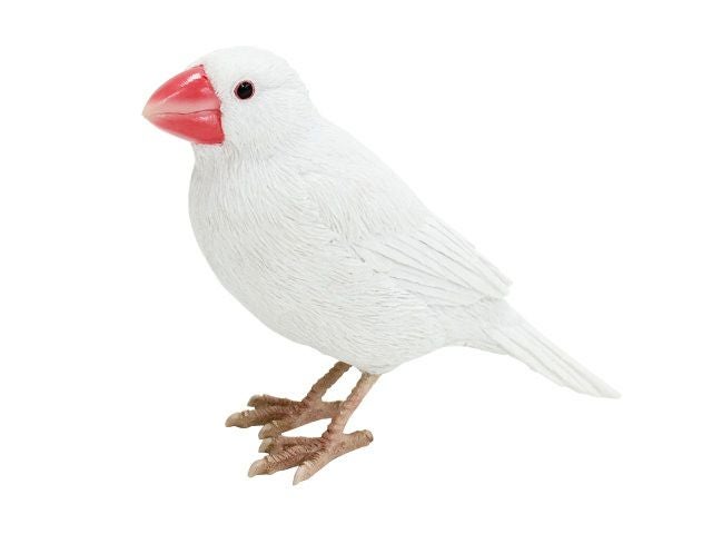 文鳥 グッズ2