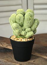 サボテンの造花7