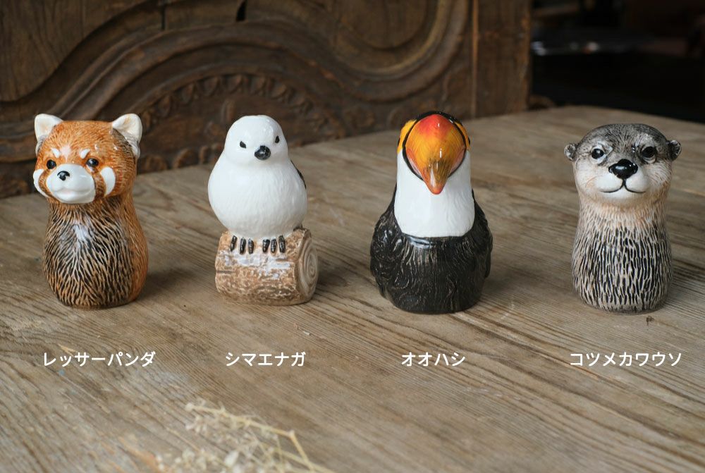 いろんな種類がいます1