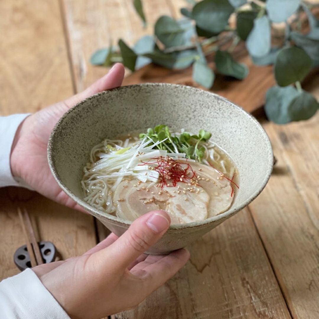 日本製どんぶり 美濃焼レリーフ9