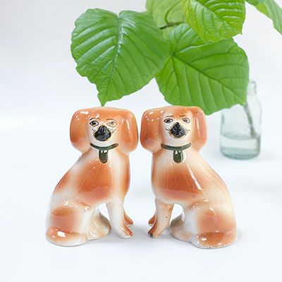 犬9
