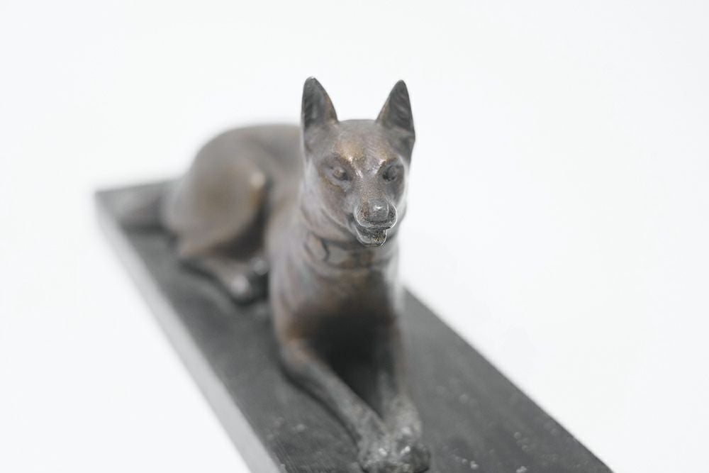 犬の顔3
