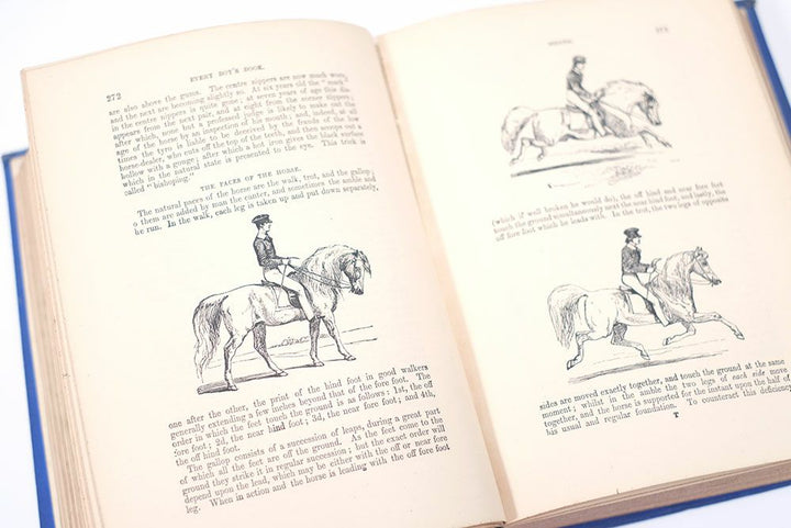 アンティークブックBOY'S OWN BOOK イギリス ボーイズブック ページ513