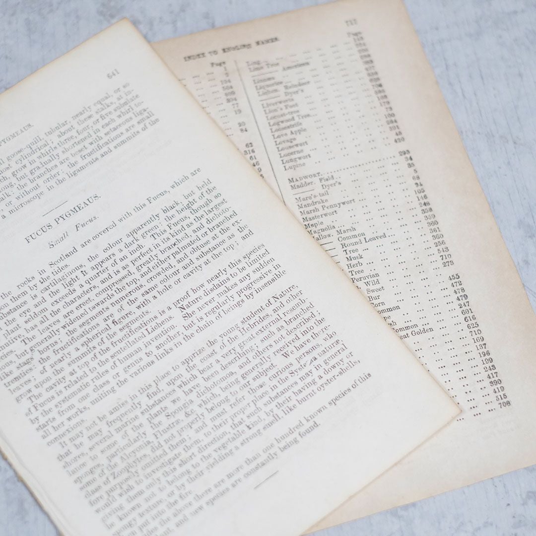 ヨーロッパアンティーク楽譜と洋書の１ページの６枚セット1