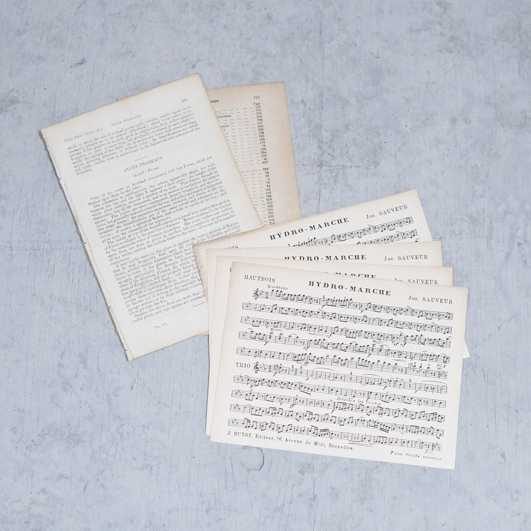 ヨーロッパアンティーク楽譜と洋書の１ページの６枚セット3