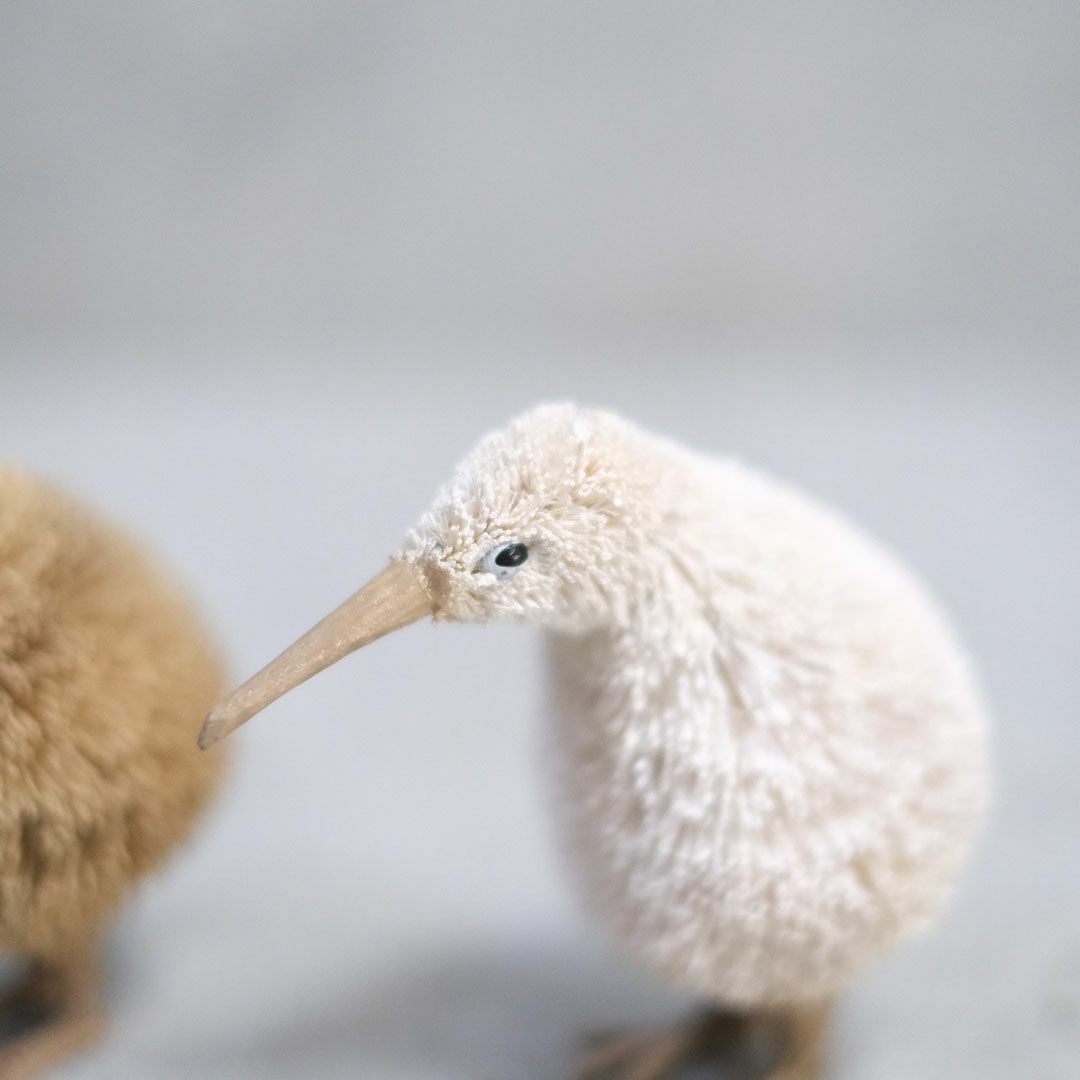 たわしアニマル キーウィ 動物雑貨2