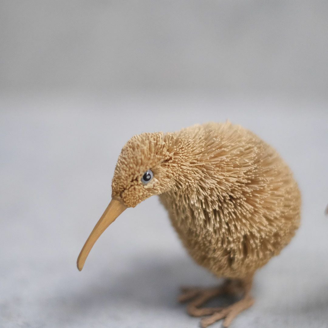 たわしアニマル キーウィ 動物雑貨3