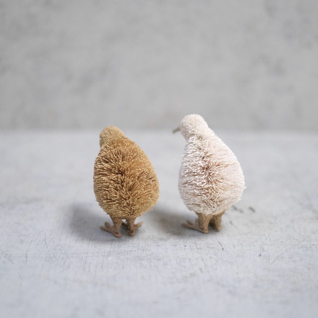 たわしアニマル キーウィ 動物雑貨4