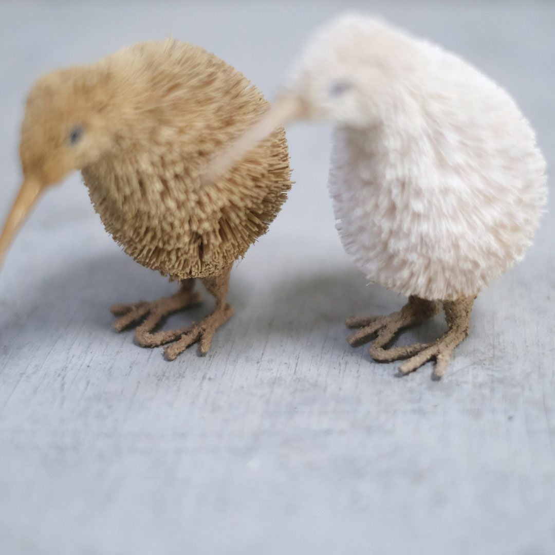 たわしアニマル キーウィ 動物雑貨5