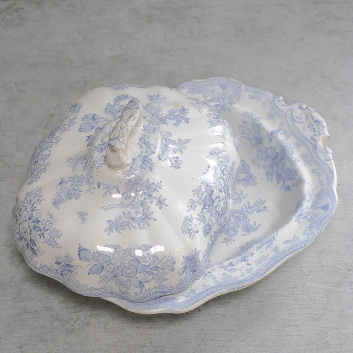 アンティークチュリーン イギリス Asiatic Pheasant アジアティックフェザンツ44