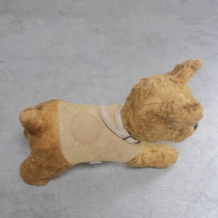 ヴィンテージぬいぐるみ フランス 首輪をつけた犬のスタッフドトイ5
