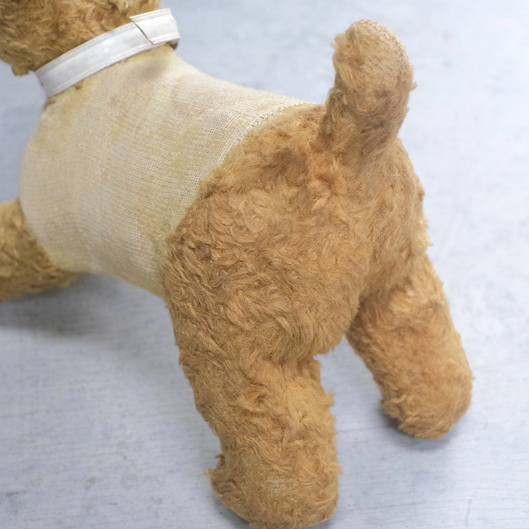 ヴィンテージぬいぐるみ フランス 首輪をつけた犬のスタッフドトイ6