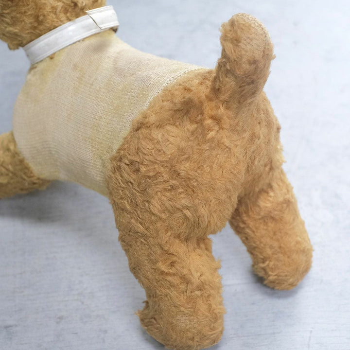 ヴィンテージぬいぐるみ フランス 首輪をつけた犬のスタッフドトイ6