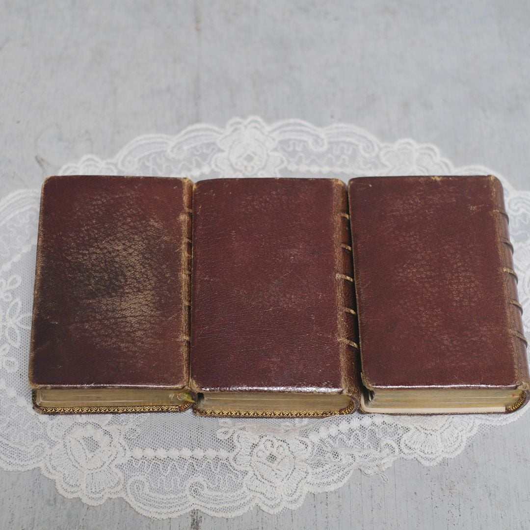 アンティーク祈祷書 フランス パロワシアン(Paroissien)1800年代 ミゼル2