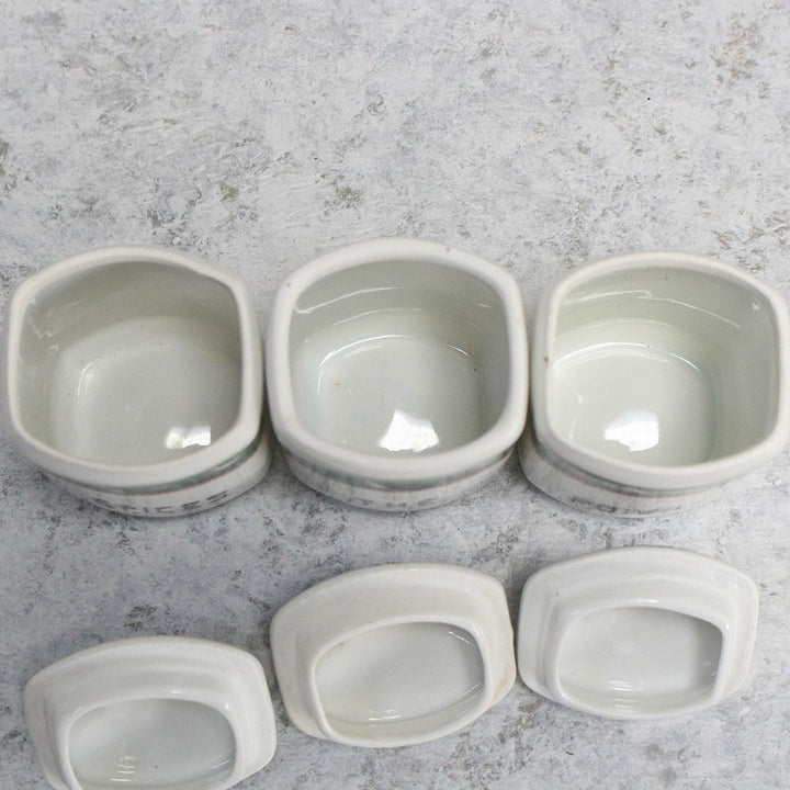 アンティーク キャニスターセット 鳥 チェコスロバキア 陶器8