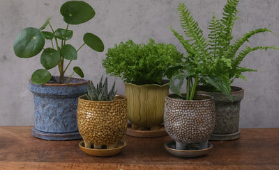 童話の鉢植えシリーズ 陶器のプランター&受け皿セット 緑M