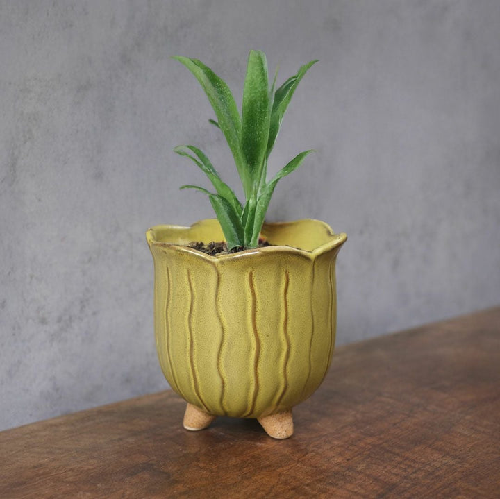童話の鉢植えシリーズ 陶器のプランター&受け皿セット チューリップ 黄色33