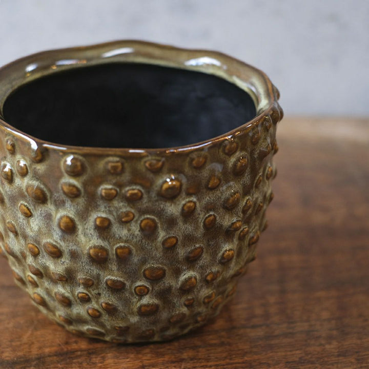 童話の鉢植えシリーズ 陶器のプランター ドットグレイズポット22