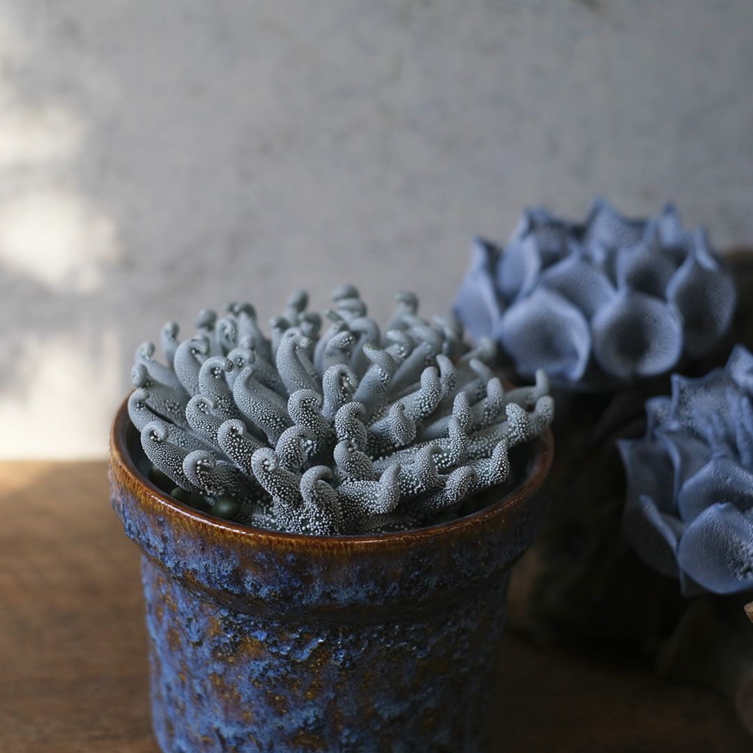 童話世界の花をイメージしたスカルプチャー アートプロダクト3